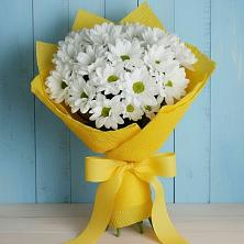 Букет цветов из:  Хризантемы в Обояни