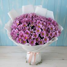 Букет цветов из:  Хризантемы в Обояни