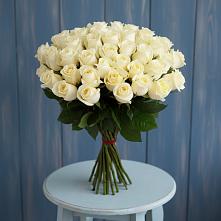 Букет 51 Белая роза Эдлесс Лав #REPLACE_PRED# Обояни