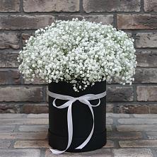 Цветочная композиция из Гипсофила в шляпной коробке в Обояни